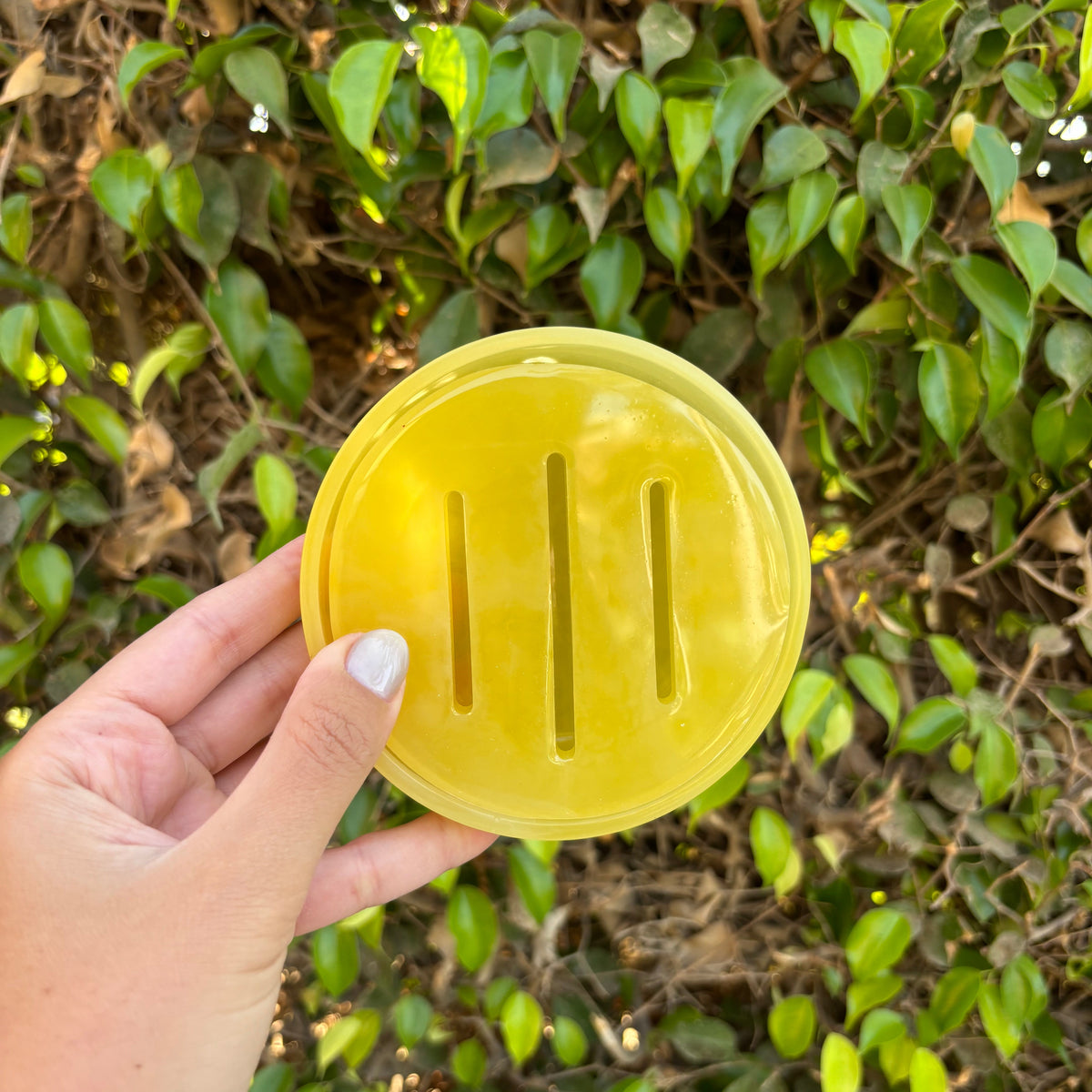 Ginger Soap Dish