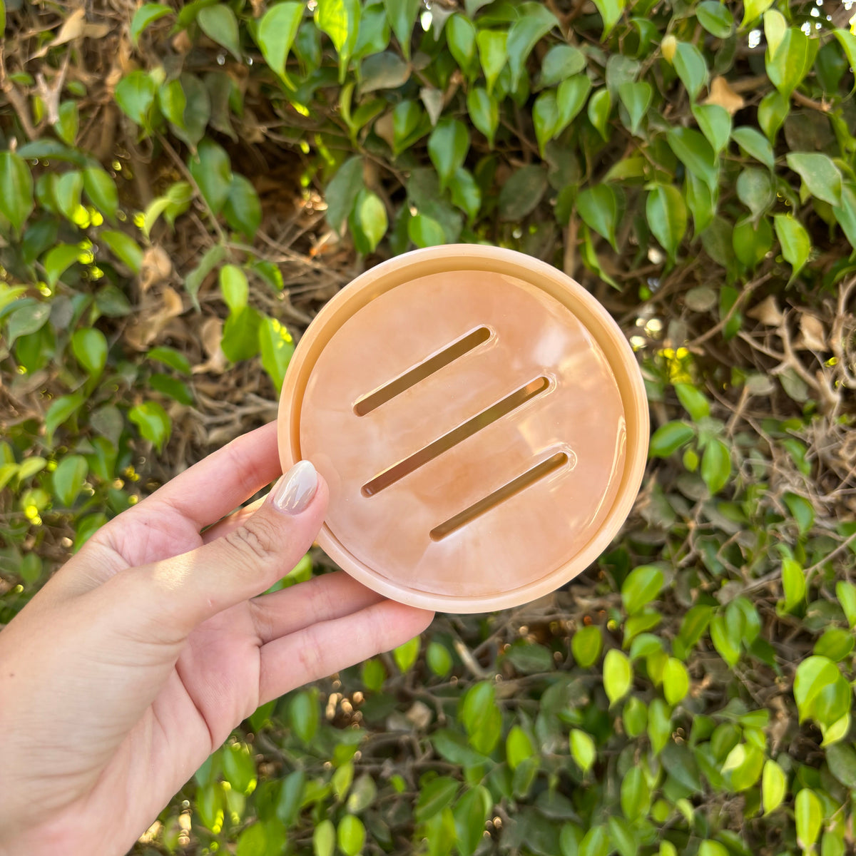 Peach Cream Round Soap Dish