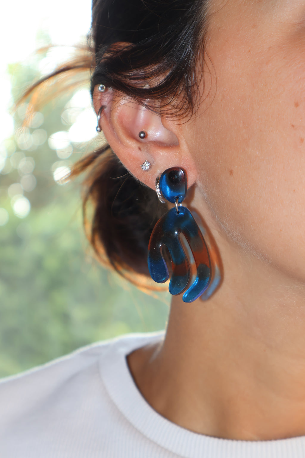 Blue & Brown - Earrings