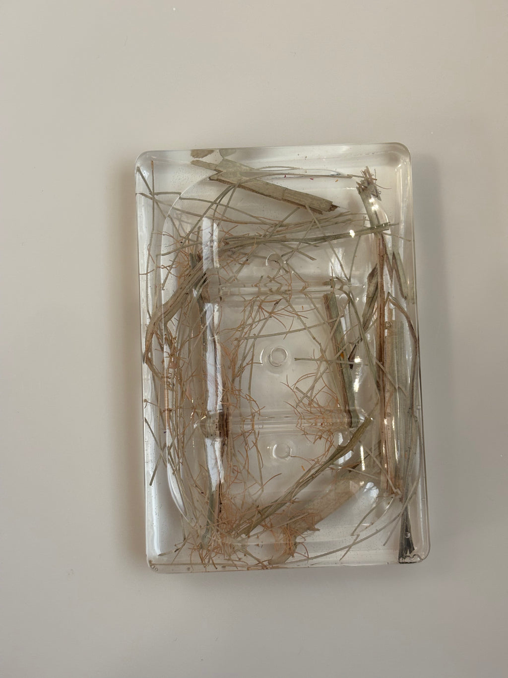 Earth Soap Dish