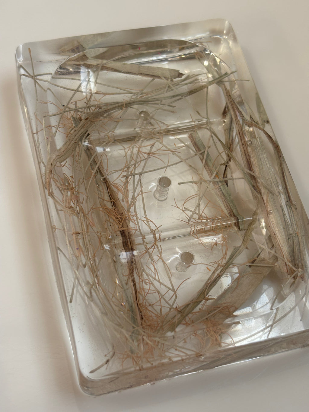 Earth Soap Dish