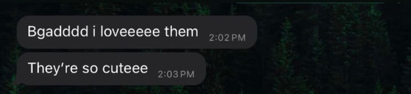 Customer feedback screenshot